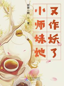海贼王之铁拳无敌