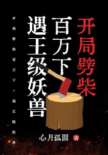 口袋妖怪之敬何传