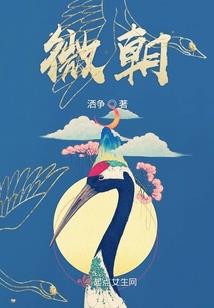 暴力抬杠系统
