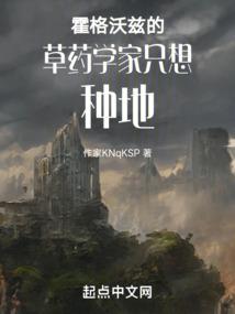 天蒙蒙亮了之天国情缘