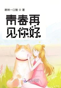 寂寂如风夜雨默