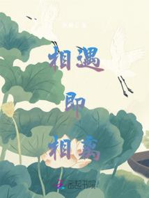 漏掉的时光