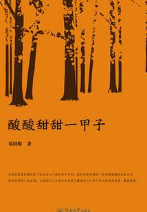 精灵：开局雷布朗多之力