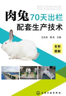 网王之清风中的木屋