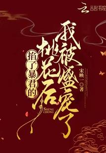 第三者的旁观日记