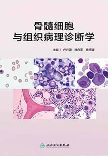 穿梭奥特曼的宇宙