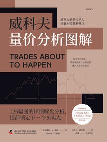 十三开灵智