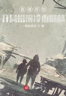 鬼盗传人