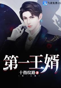 宠物小精灵之凌空之翼