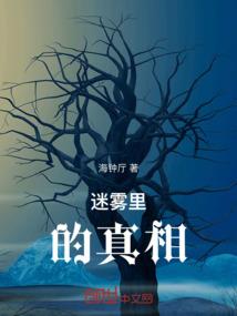嘘，猫来了！