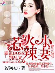 阴灵师笔记本