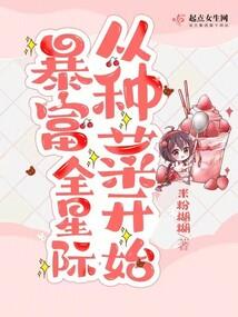 星雨的魔法书