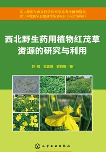 一世情深恋