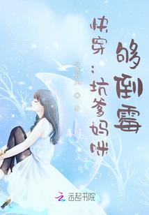 某电磁炮的科学