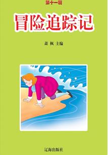 江湖女游医