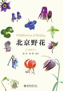 黑夜里的思想