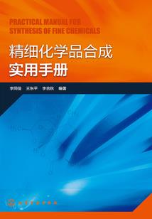 无限之巨龙崛起