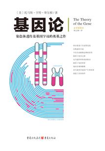 剑仙威名震三界