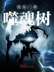 守望先锋之未来世界