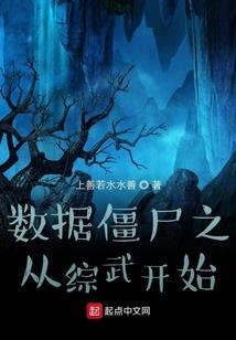 不想输出的魔法师