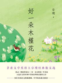 英雄联盟之旧城