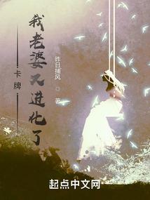 火影之神光掠影