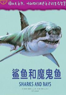 那年流年消逝