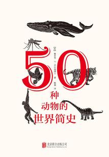 笨蛋总裁我不要