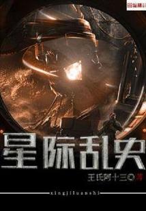 多元观测者