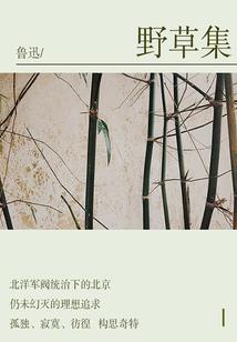 玄天之下尽墨梅