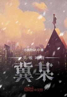 宠物小精灵之小龙传说