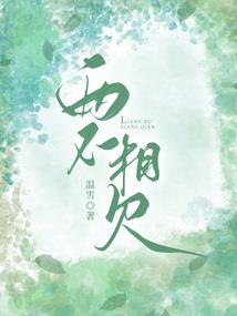 错在相逢求善终