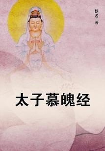 阴阳数码师