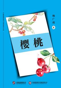 没有人会像我这样爱你了