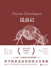 真灵种子