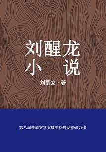伏罪之微光