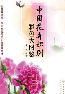 身处暗处