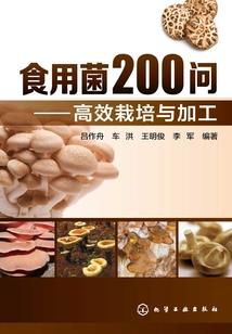 只是从心里想你，想着爱你