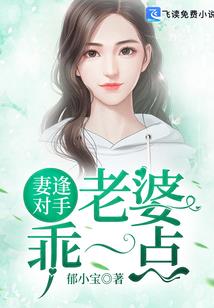 娘娘要出宫