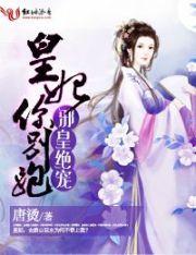 主角的文明