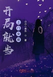 乱世宠儿：朱颜戏天下