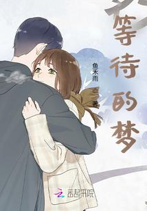 光晕之救赎