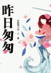 武道之拳