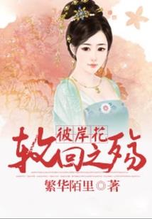 舌战江湖