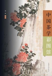二次元的成神道路