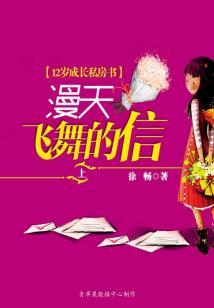 西北往事之盗门