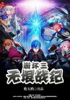 将门毒妃：王妃复仇记