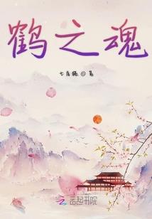 左手流浪右手修仙