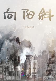 万道浮生