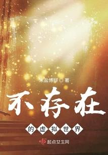 娱乐之华娱第一巨星